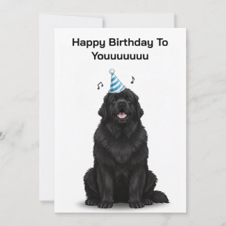 Hund von Neufundland freut sich auf Geburtstag bis Einladung