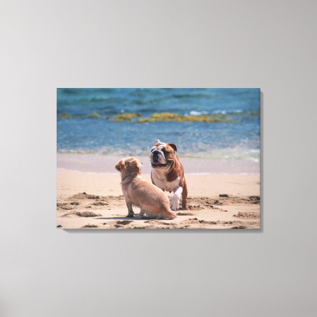Hund von Sandy Beach Leinwanddruck (Vorderseite)