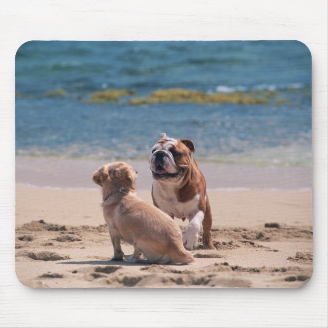 Hund von Sandy Beach Mousepad (Vorne)