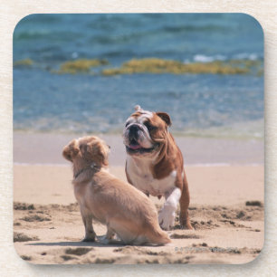 Hund von Sandy-Strand Untersetzer