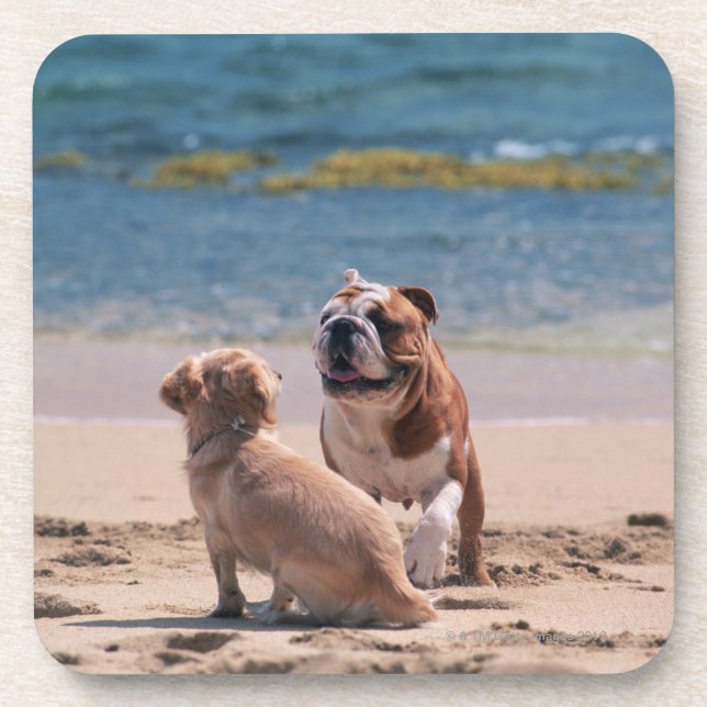 Hund von Sandy-Strand Untersetzer (Vorderseite)