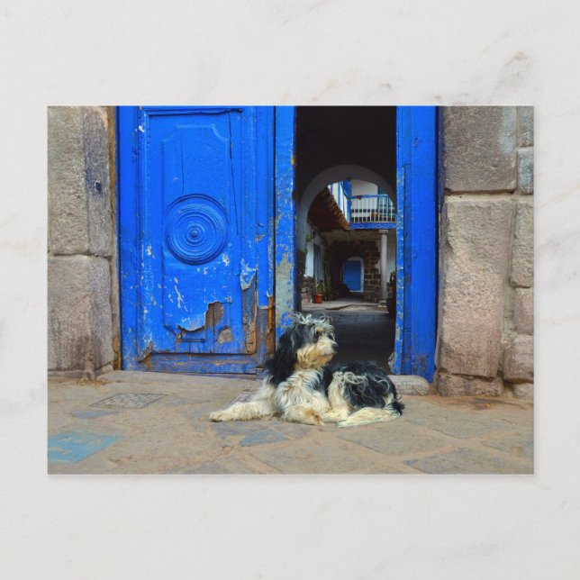 Hund vor blauer Tür Gewartet, Cusco, Peru Postkarte (Vorderseite)