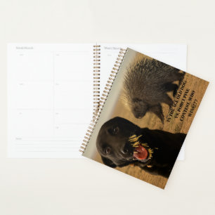 Hund vs. Stachelschwein Notizbuch Planer