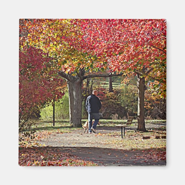 Hund wandern im Herbstpark Magnet (Vorne)