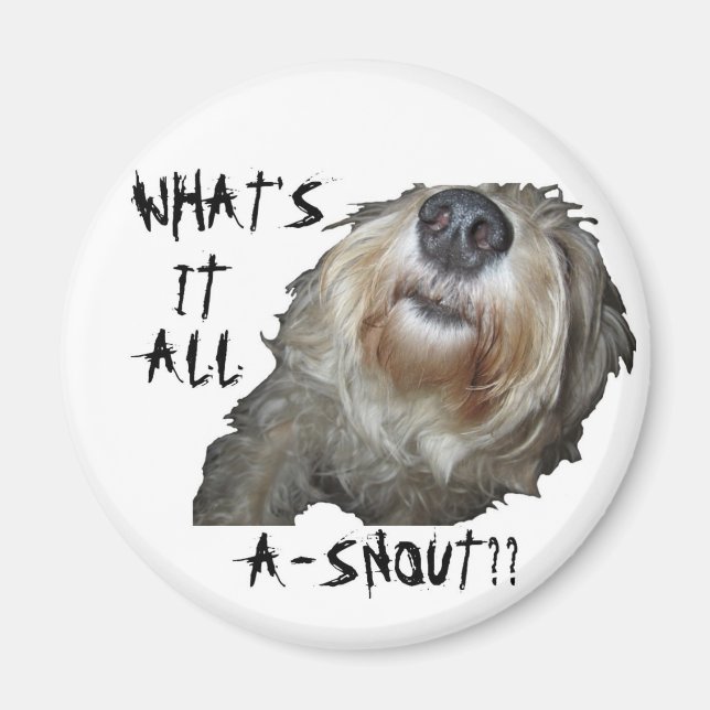 Hund "WAS IST DAS ALLES A-SCHNEE?" Magnet (Vorne)
