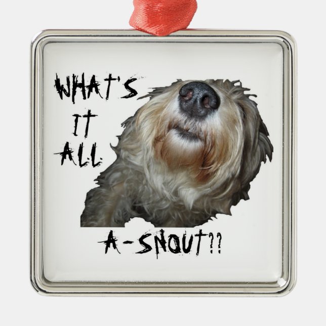 Hund "WAS IST DAS ALLES A-SCHNEE?" Square Ornament (Vorne)