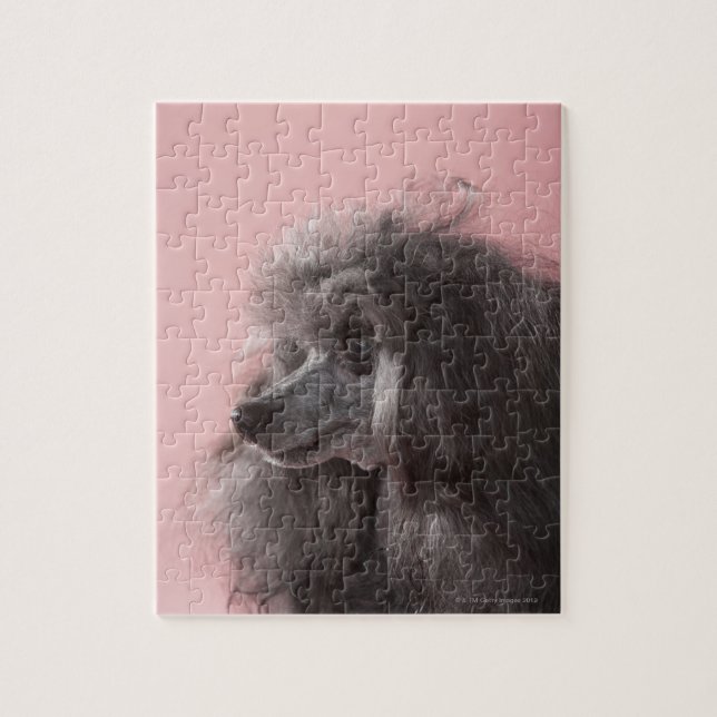 Hund wegschauend puzzle (Vertikal)