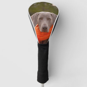 Hund Weimaraner Schal Haustier Hunde Golf Headcover