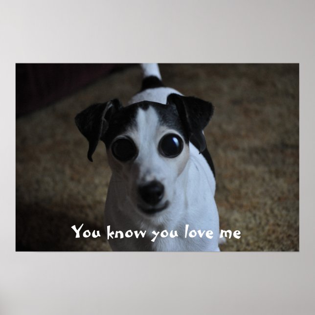 Hund, weißt du, dass du mich Liebe? Poster (Vorne)