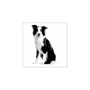 Hund Welpe Border Collie Gummistempel