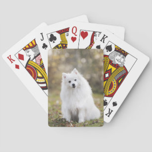 Hund Welpe Canine White Dog Fur Spielkarten