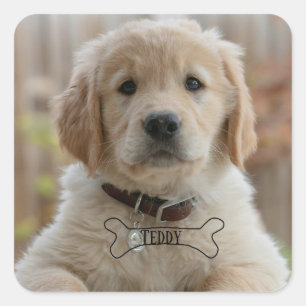 HUND WELPE FOTO NAME BONE BESTER HUND MUTTER VATER QUADRATISCHER AUFKLEBER