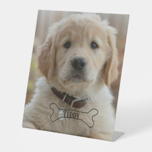 HUND WELPE FOTO NAME BONE BESTER HUND MUTTER VATER SOCKELSCHILD