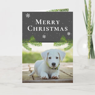Hund Welpe Foto Tanne Schneeflocken Frohe Weihnach Feiertagskarte