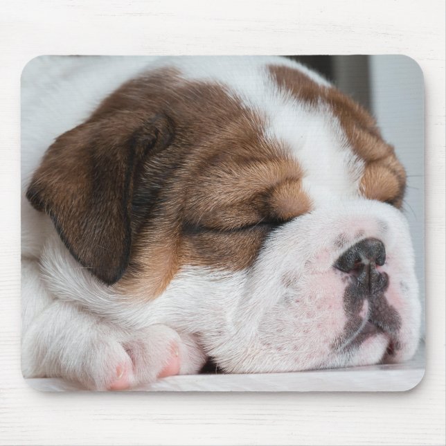 Hund, Welpe, Haustier Mousepad (Vorne)