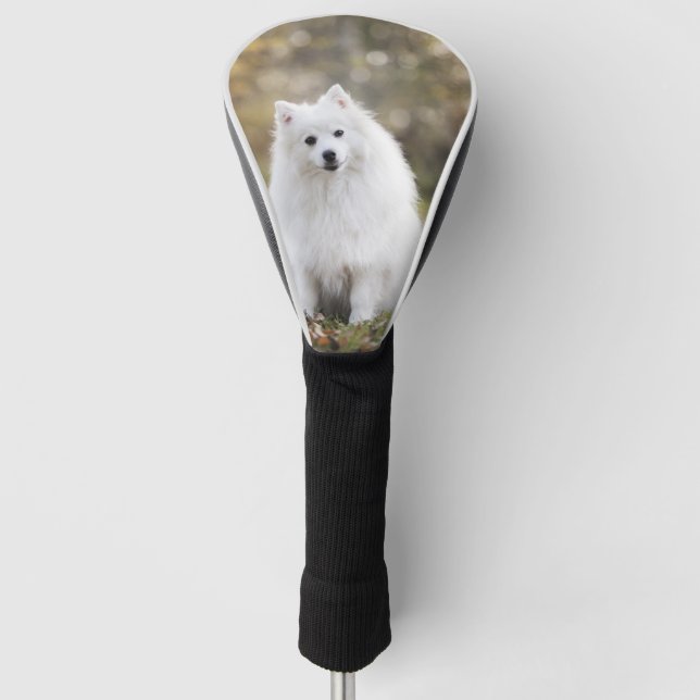 Hund Welpe Kanine Weißer Hund Fur OtterBox Golf Headcover (Vorderseite)