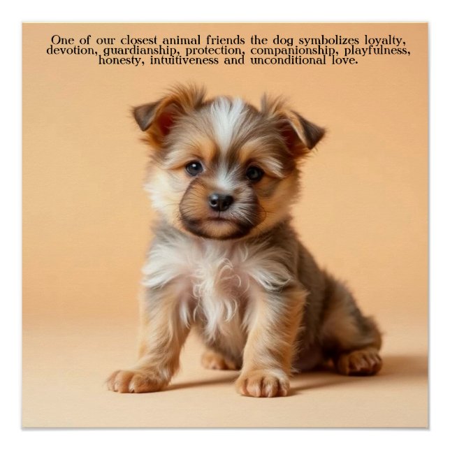 Hund/Welpe Poster (Vorderseite)