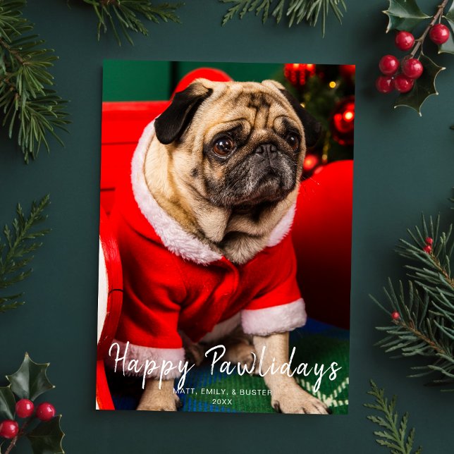 Hund Welpe Weihnachten Foto Happy Pawlidays Red (Von Creator hochgeladen)