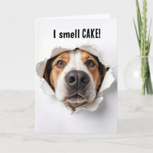 Hund zum Geburtstag im Papierloch Karte
