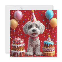 Hund zum Geburtstag mit Kuchen und Ballons