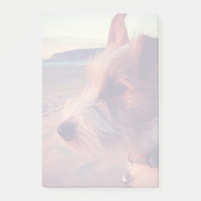 Hund zum Strand Post-it Klebezettel (Vorderseite)