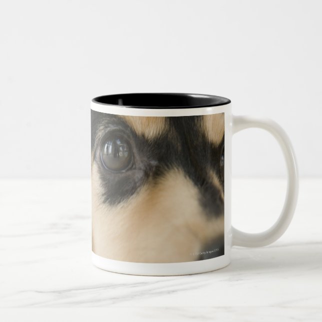 Hund Zweifarbige Tasse (Rechts)