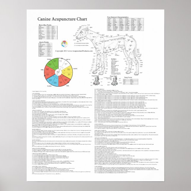 Hundakupressionstabelle Poster (Vorne)