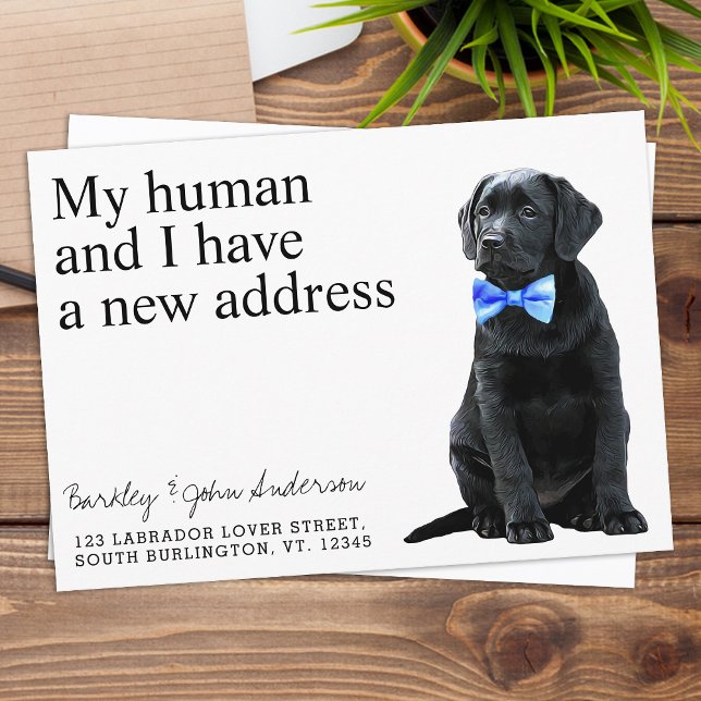 Hundbewegung im schwarzen Labor Ankündigung (Von Creator hochgeladen)