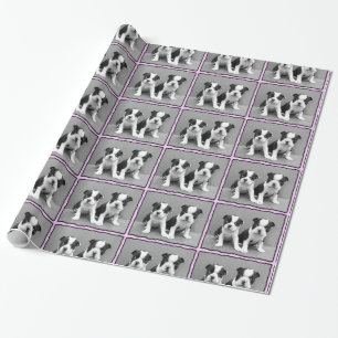 Hündchen-Geschenk-Packpapier Bostons Terrier Geschenkpapier