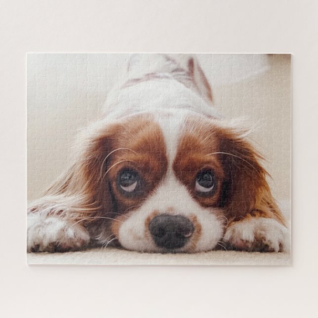 Hündchen Puzzle (Horizontal)
