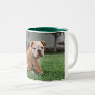 Hündchen, rot und weiß zweifarbige tasse