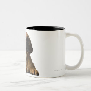 Hündchen Zweifarbige Tasse