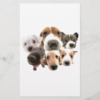 Hunde