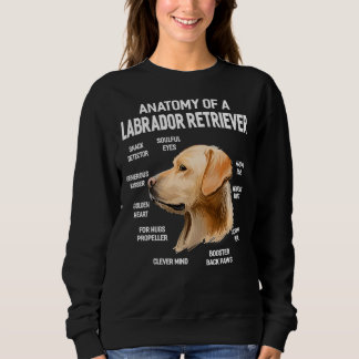 Hunde 365 Anatomie eines Labrador Retriever Hundes Sweatshirt