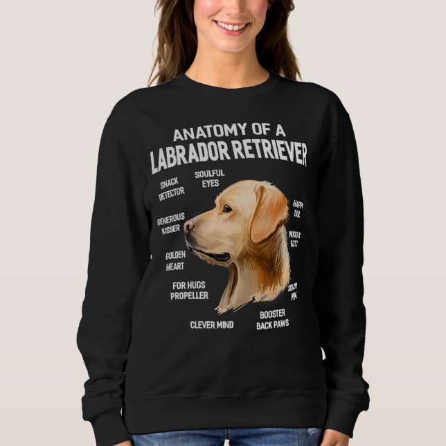Hunde 365 Anatomie eines Labrador Retriever Hundes Sweatshirt (Vorderseite)