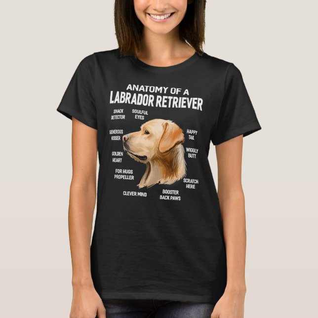 Hunde 365 Anatomie eines Labrador Retriever Hundes T-Shirt (Vorderseite)
