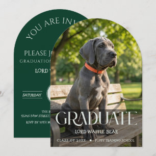 Hunde-Abschluss-Einladung Haustier-Foto in Smaragd Einladung