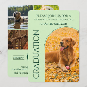 Hunde Abschluss Party Einladung Haustier Fotos Bab