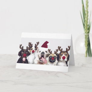 Hunde als Rentiere Weihnachtskarte Karte