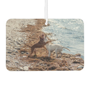 Hunde am Strand Autolufterfrischer