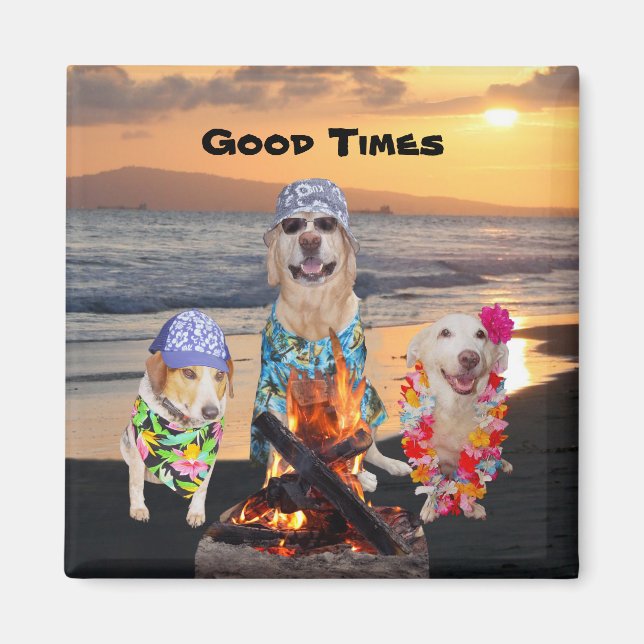 Hunde am Strand bei Sunset Magnet (Vorne)