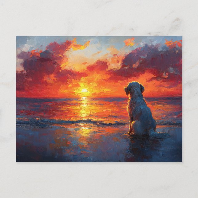 Hunde am Strand beim Sonnenuntergang Postkarte (Vorderseite)