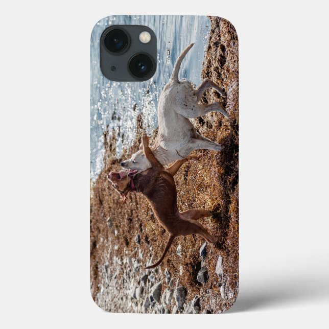 Hunde am Strand Case-Mate iPhone Hülle (Rückseite)