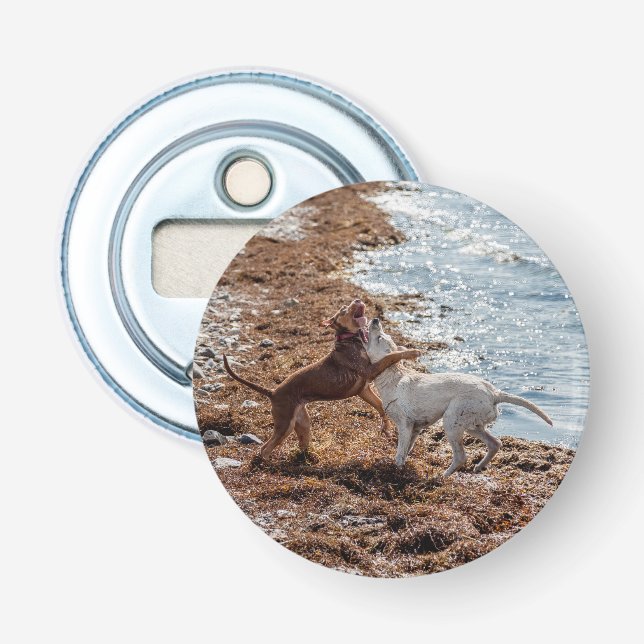 Hunde am Strand Flaschenöffner (Vorderseite)