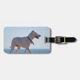 Hunde am Strand Gepäckanhänger