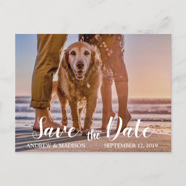 Hunde am Strand mit Couple Save the Date Ankündigungspostkarte (Vorderseite)