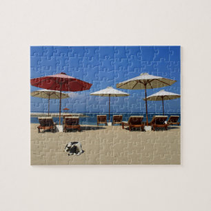 Hunde am Strand Puzzle