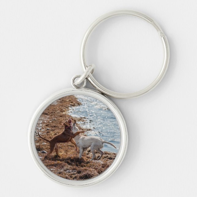 Hunde am Strand Schlüsselanhänger (Vorne)