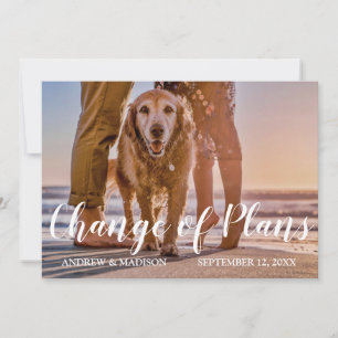Hunde an Strand Änderung der Pläne verschoben Hoch Save The Date