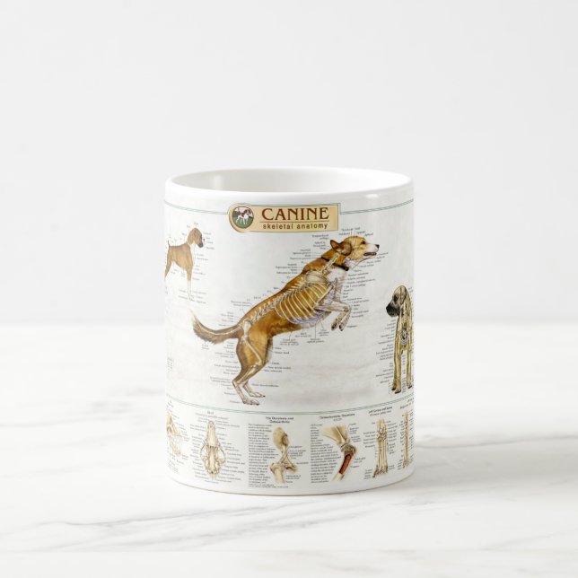 Hunde- Anatomie-Tasse Kaffeetasse (Mittel)